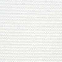 Texture of Chromata canvas material
