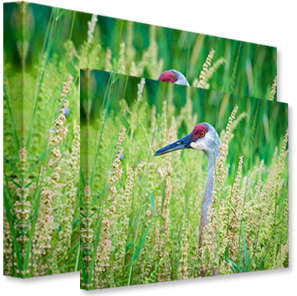 Canvas 24x36 - Thick Wrap