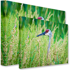 ArtToFrames 18x24 Custom Canvas Print - Upload Your Photo or Picture - 1.5  Inch Gallery Wrap - Mirror edges.